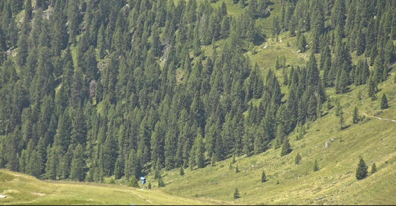 Webcam San Martino di Castrozza - Passo Rolle - Tognola - Piste Scandola
