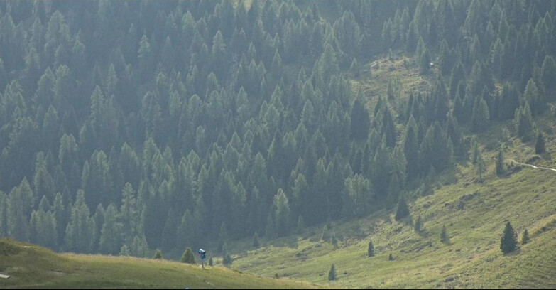 Webcam San Martino di Castrozza - Passo Rolle - Tognola - Piste Scandola