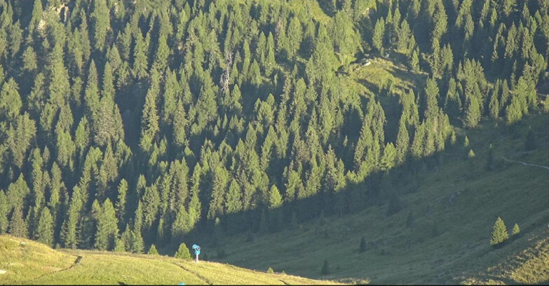 Webcam San Martino di Castrozza - Passo Rolle - Tognola - Piste Scandola