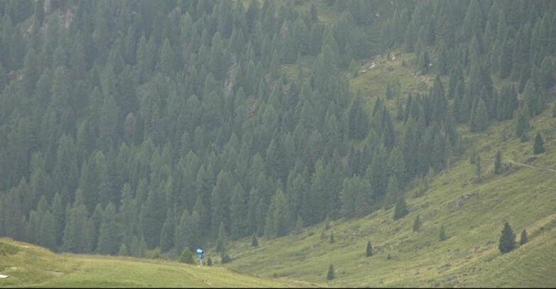 Webcam San Martino di Castrozza - Passo Rolle  - Tognola - Piste Scandola