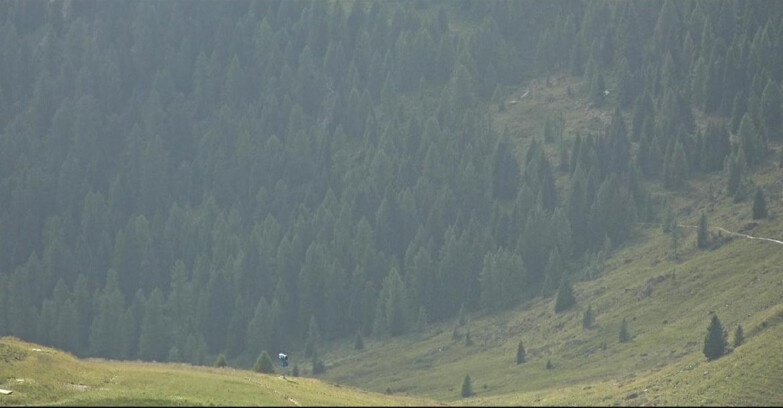 Webcam San Martino di Castrozza - Passo Rolle  - Tognola - Piste Scandola