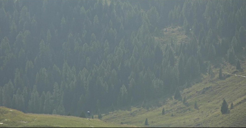 Webcam San Martino di Castrozza - Passo Rolle  - Tognola - Piste Scandola