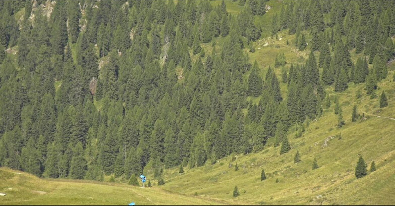 Webcam San Martino di Castrozza - Passo Rolle - Tognola - Piste Scandola