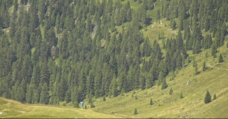Webcam San Martino di Castrozza - Passo Rolle - Tognola - Piste Scandola