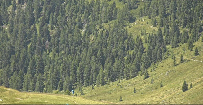 Webcam San Martino di Castrozza - Passo Rolle - Tognola - Piste Scandola