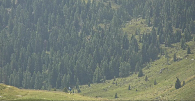 Webcam San Martino di Castrozza - Passo Rolle - Tognola - Piste Scandola