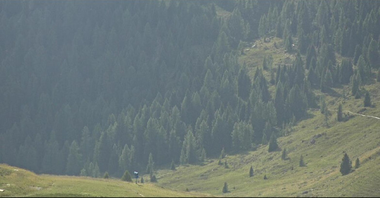 Webcam San Martino di Castrozza - Passo Rolle - Tognola - Piste Scandola