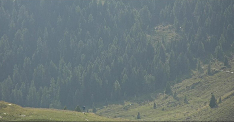 Webcam San Martino di Castrozza - Passo Rolle - Tognola - Piste Scandola