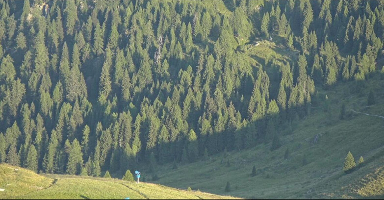 Webcam San Martino di Castrozza - Passo Rolle - Tognola - Piste Scandola