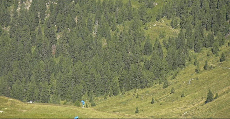 Webcam San Martino di Castrozza - Passo Rolle - Tognola - Piste Scandola