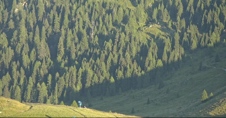 Webcam San Martino di Castrozza - Passo Rolle - Tognola - Piste Scandola