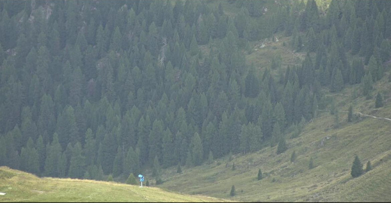 Webcam Сан-Мартино-ди-Кастроцца - Пассо-Ролле - Tognola - Piste Scandola