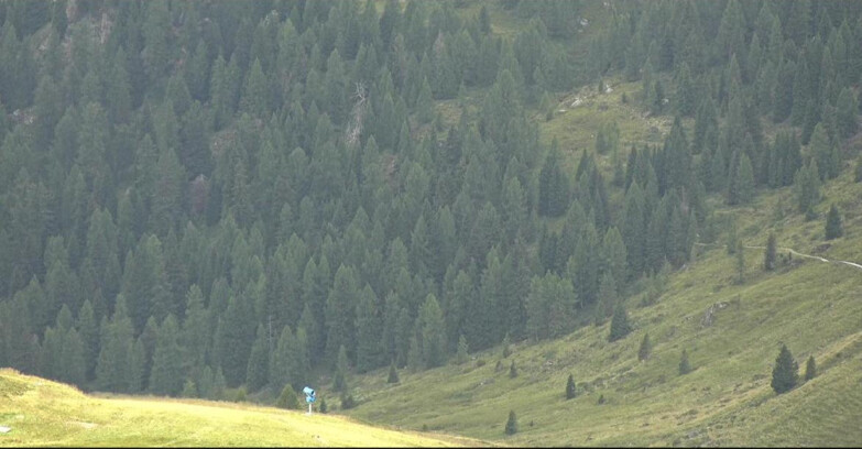 Webcam Сан-Мартино-ди-Кастроцца - Пассо-Ролле - Tognola - Piste Scandola