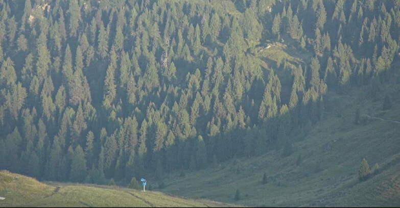 Webcam Сан-Мартино-ди-Кастроцца - Пассо-Ролле - Tognola - Piste Scandola