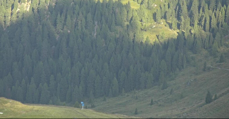 Webcam Сан-Мартино-ди-Кастроцца - Пассо-Ролле - Tognola - Piste Scandola