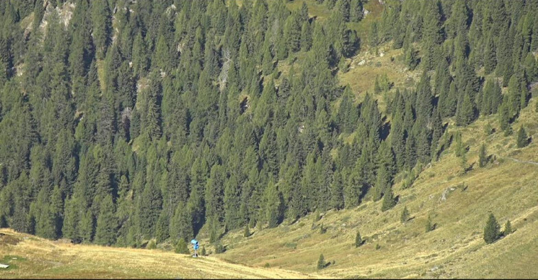 Webcam San Martino di Castrozza - Passo Rolle  - Tognola - Piste Scandola
