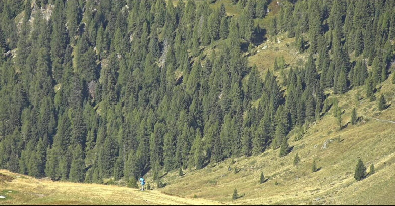 Webcam San Martino di Castrozza - Passo Rolle  - Tognola - Piste Scandola
