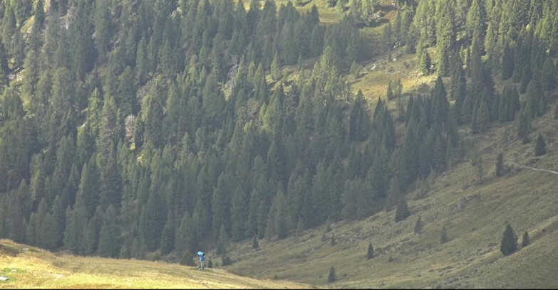 Webcam San Martino di Castrozza - Passo Rolle  - Tognola - Piste Scandola