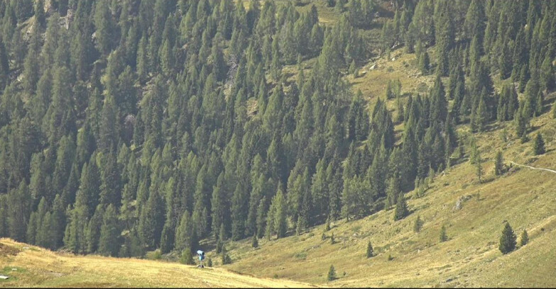 Webcam San Martino di Castrozza - Passo Rolle  - Tognola - Piste Scandola