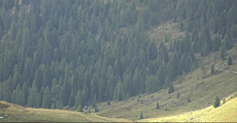 Webcam San Martino di Castrozza - Passo Rolle  - Tognola - Piste Scandola
