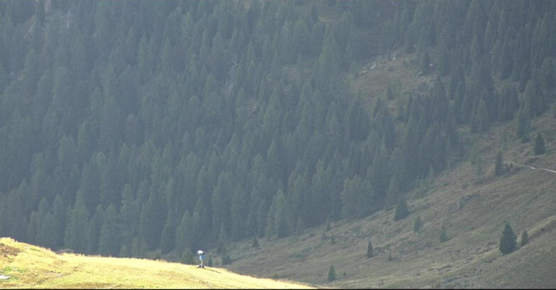 Webcam San Martino di Castrozza - Passo Rolle  - Tognola - Piste Scandola