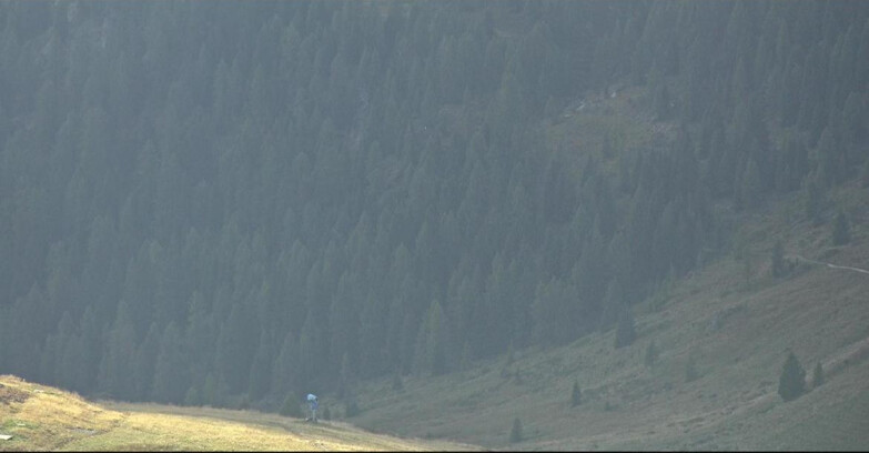 Webcam San Martino di Castrozza - Passo Rolle  - Tognola - Piste Scandola