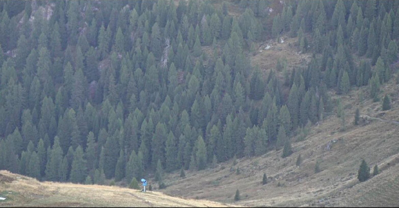 Webcam San Martino di Castrozza - Passo Rolle  - Tognola - Piste Scandola