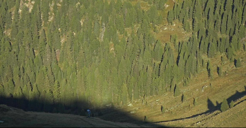Webcam San Martino di Castrozza - Passo Rolle  - Tognola - Piste Scandola