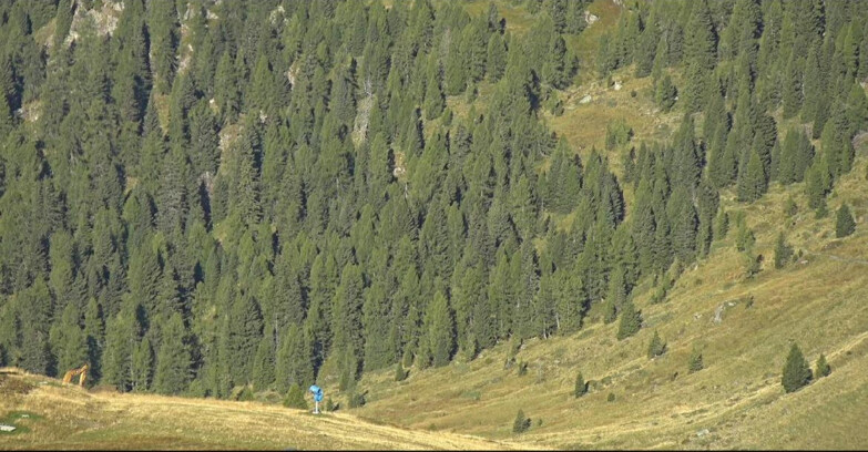 Webcam San Martino di Castrozza - Passo Rolle  - Tognola - Piste Scandola
