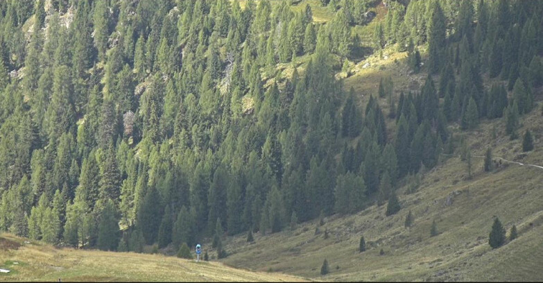 Webcam San Martino di Castrozza - Passo Rolle - Tognola - Piste Scandola