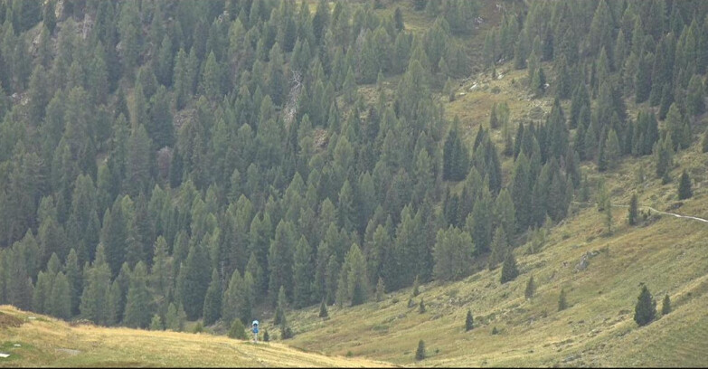 Webcam San Martino di Castrozza - Passo Rolle - Tognola - Piste Scandola
