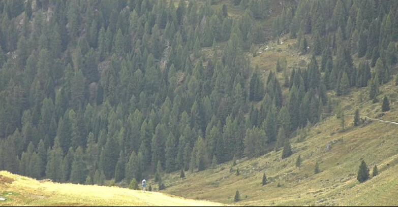Webcam San Martino di Castrozza - Passo Rolle - Tognola - Piste Scandola
