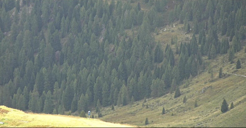 Webcam San Martino di Castrozza - Passo Rolle - Tognola - Piste Scandola