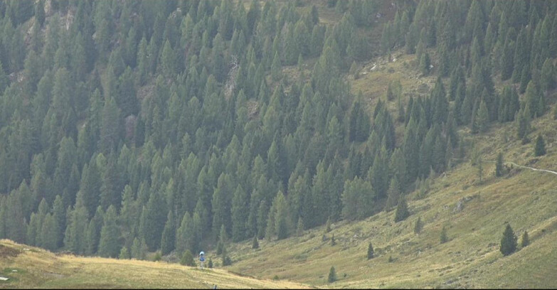 Webcam San Martino di Castrozza - Passo Rolle - Tognola - Piste Scandola