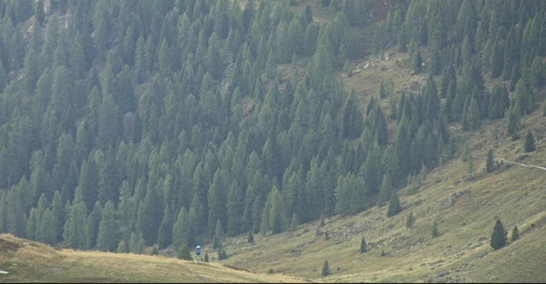 Webcam San Martino di Castrozza - Passo Rolle - Tognola - Piste Scandola