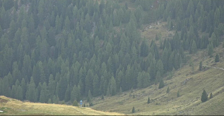 Webcam San Martino di Castrozza - Passo Rolle - Tognola - Piste Scandola