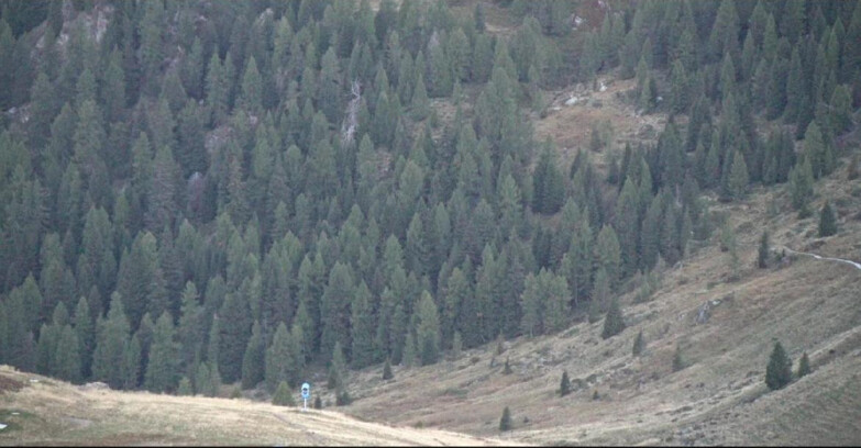 Webcam Сан-Мартино-ди-Кастроцца - Пассо-Ролле - Tognola - Piste Scandola