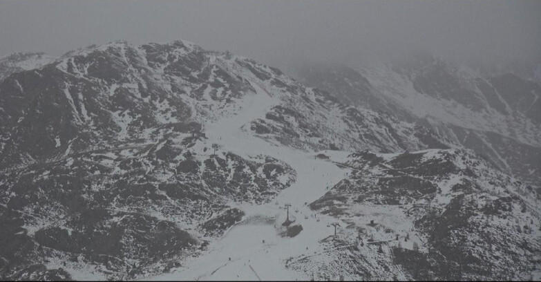 Webcam Сан-Мартино-ди-Кастроцца - Пассо-Ролле - Cima Tognola