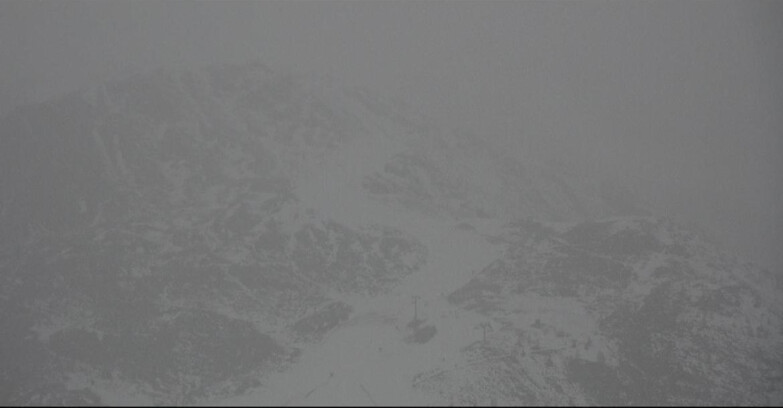 Webcam Сан-Мартино-ди-Кастроцца - Пассо-Ролле - Cima Tognola