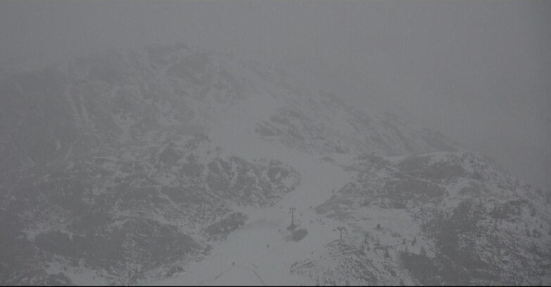 Webcam Сан-Мартино-ди-Кастроцца - Пассо-Ролле - Cima Tognola