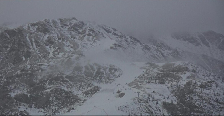 Webcam Сан-Мартино-ди-Кастроцца - Пассо-Ролле - Cima Tognola