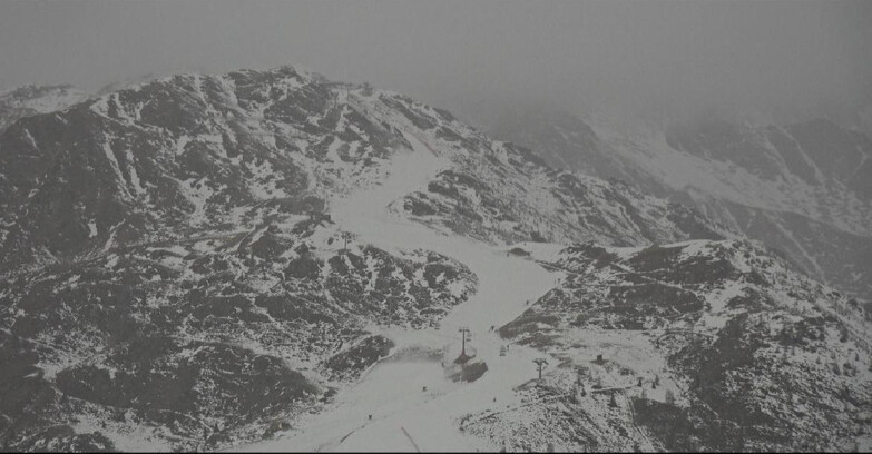 Webcam Сан-Мартино-ди-Кастроцца - Пассо-Ролле - Cima Tognola