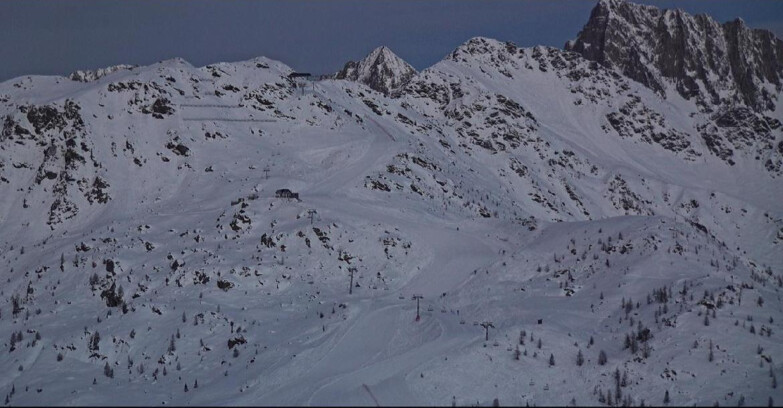 Webcam Сан-Мартино-ди-Кастроцца - Пассо-Ролле - Cima Tognola