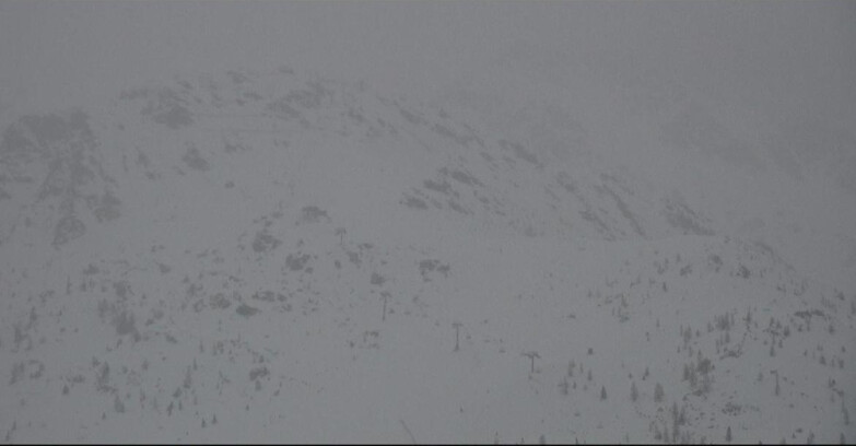 Webcam Сан-Мартино-ди-Кастроцца - Пассо-Ролле - Cima Tognola