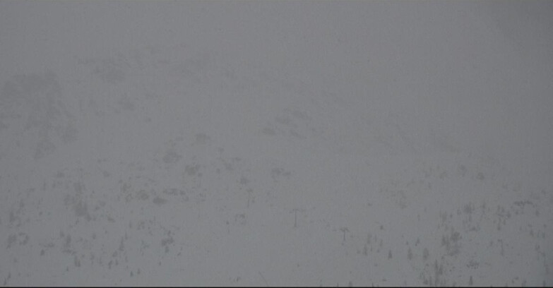 Webcam Сан-Мартино-ди-Кастроцца - Пассо-Ролле - Cima Tognola