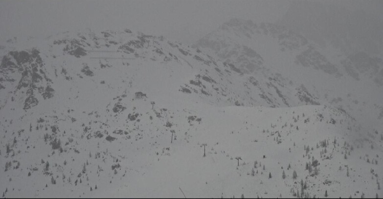 Webcam Сан-Мартино-ди-Кастроцца - Пассо-Ролле - Cima Tognola