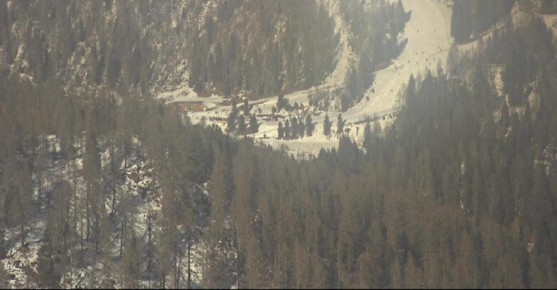 Webcam San Martino di Castrozza - Passo Rolle - Ces - Malga Valcigolera