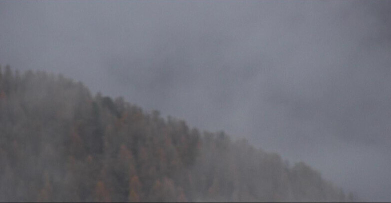 Webcam San Martino di Castrozza - Passo Rolle - Ces - Malga Valcigolera