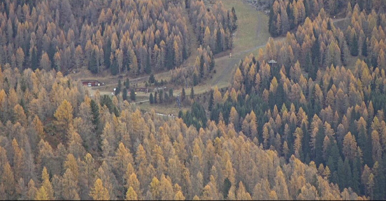 Webcam San Martino di Castrozza - Passo Rolle - Ces - Malga Valcigolera