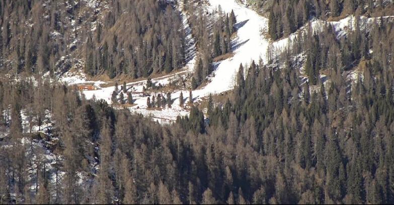 Webcam San Martino di Castrozza - Passo Rolle - Ces - Malga Valcigolera